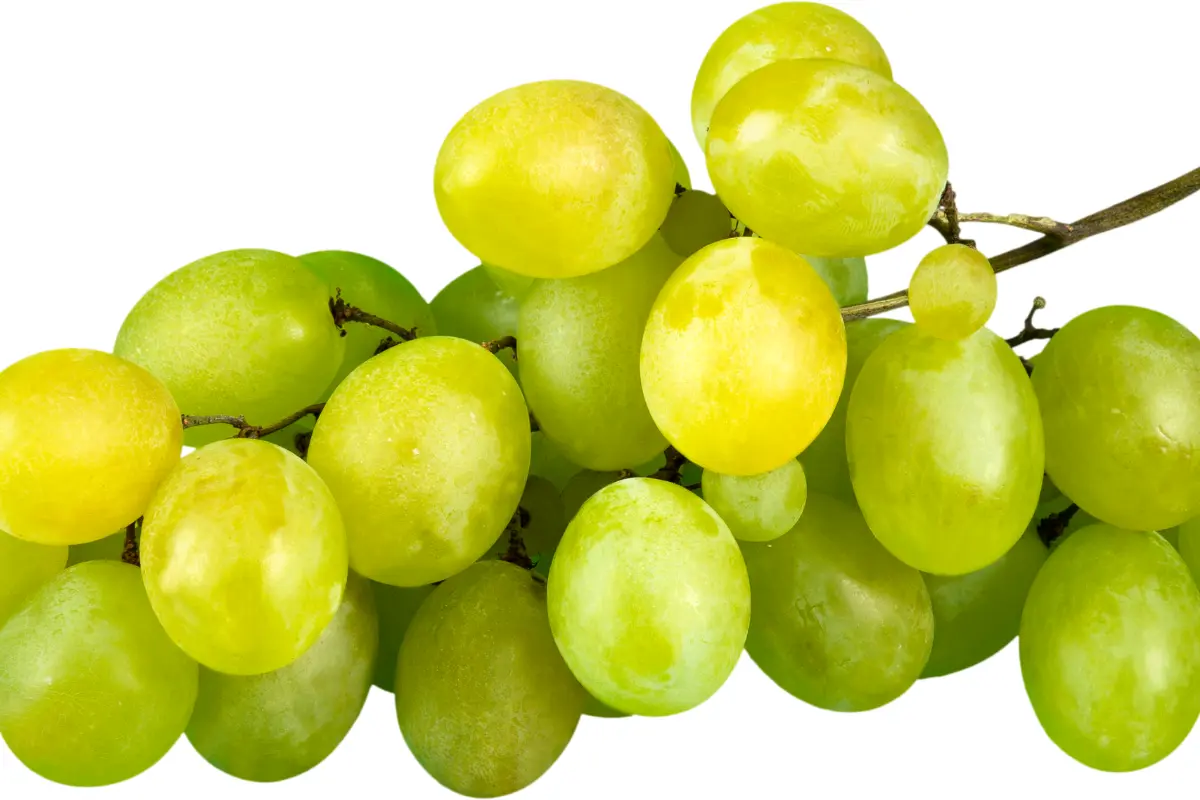 Weight Loss With Grapes How Grapes Helps You Shed Extra Kilos? 5 Tips